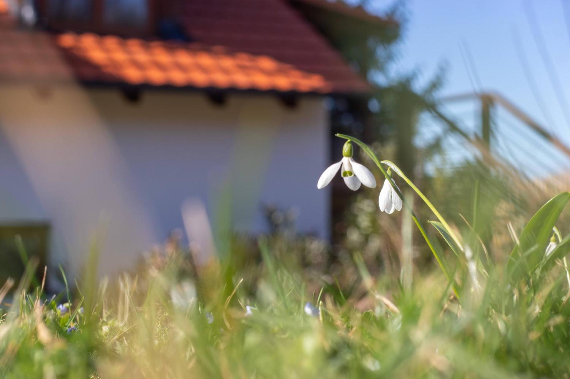 Pod Vojtechem - Soukromy Wellness
